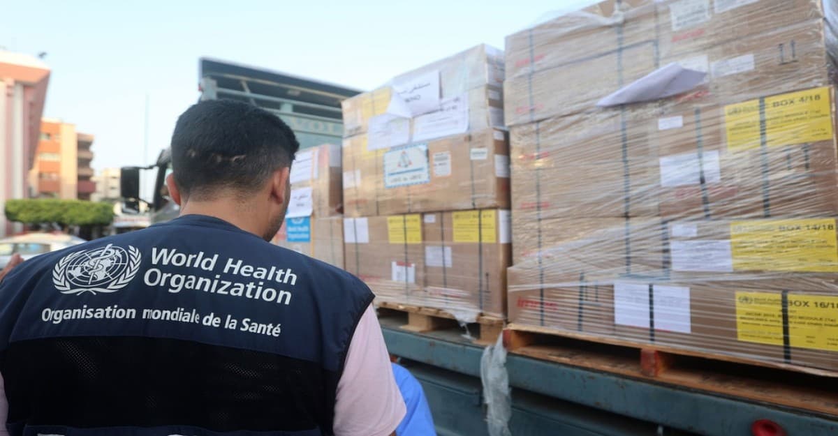 ২০২৪ সালে বিশ্বজুড়ে নিহত ৩৮৩ ত্রাণকর্মী