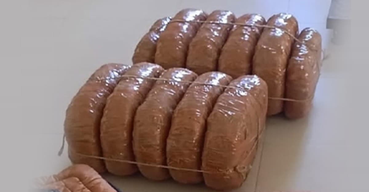 গোপালগঞ্জে ২১ কেজি গাঁজাসহ দুই মাদক ব্যবসায়ী আটক