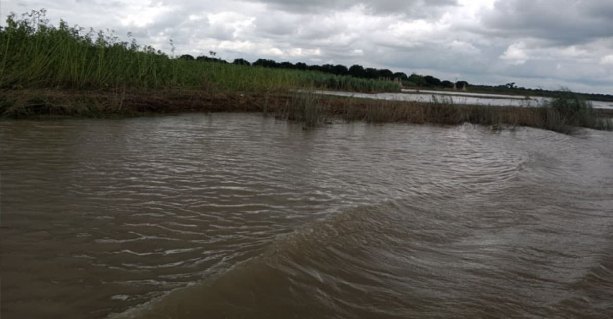 বাঘায় পদ্মার পানি কমতে শুরু করলেও কমেনি দুর্ভোগ
