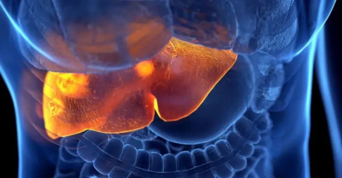 জেনে নিন কোন কোন ভুলে অজান্তেই করছেন লিভারের ক্ষতি