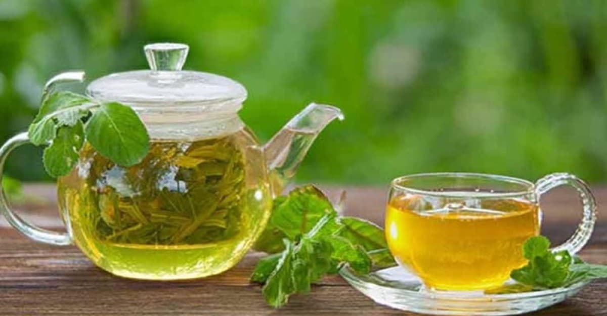 গ্রিন-টি পানেও নিয়ম আছে! না মানলে ঘটতে পারে স্বাস্থ্যহানি