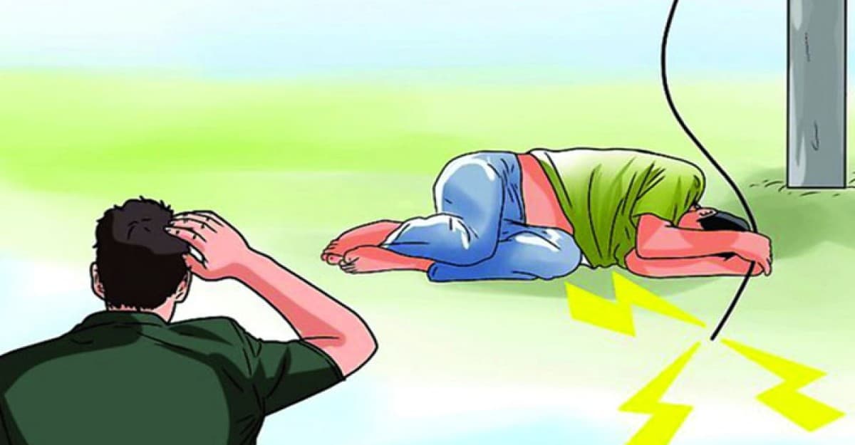 শিবচরে নারকেল পাড়তে গিয়ে বিদ্যুৎস্পৃষ্টে এক ব্যক্তির মৃত্যু