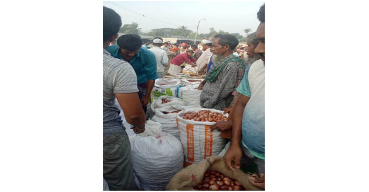 পেঁয়াজ নিয়ে বিপাকে কৃষক