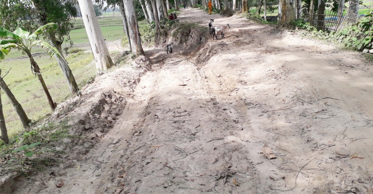 ধ্বংসের পথে পানি উন্নয়ন বোর্ডের বাঁধ