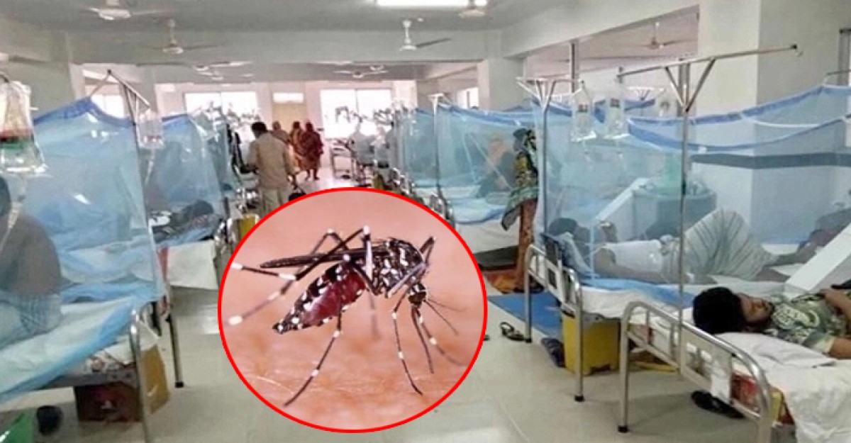 ডেঙ্গুতে রেকর্ড মৃত্যু, হাসপাতালে ভর্তি ৭৬৫