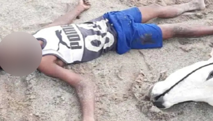 বিএসএফের গুলিতে প্রাণ গেল গরু ও পাচারকারীর