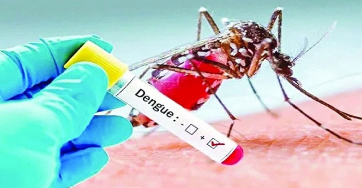 একদিনে ৫ ডেঙ্গু রোগীর মৃত্যু