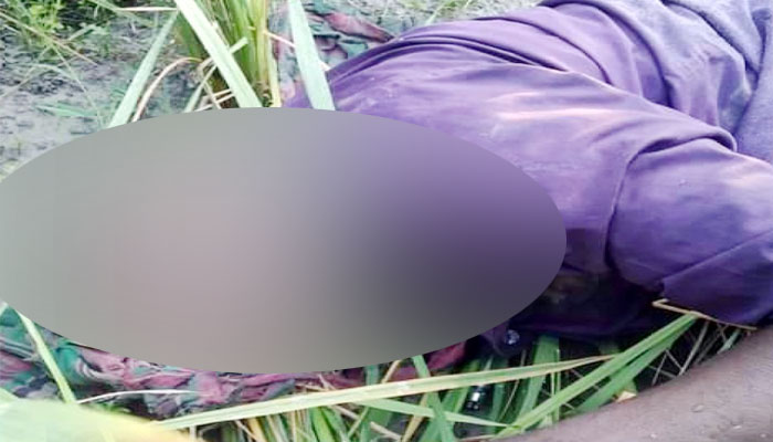 সুন্দরগঞ্জে চালককে হত্যা