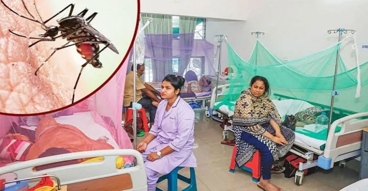 ২৪ ঘন্টায় ডেঙ্গুতে আরও ৫ জনের মৃত্যু