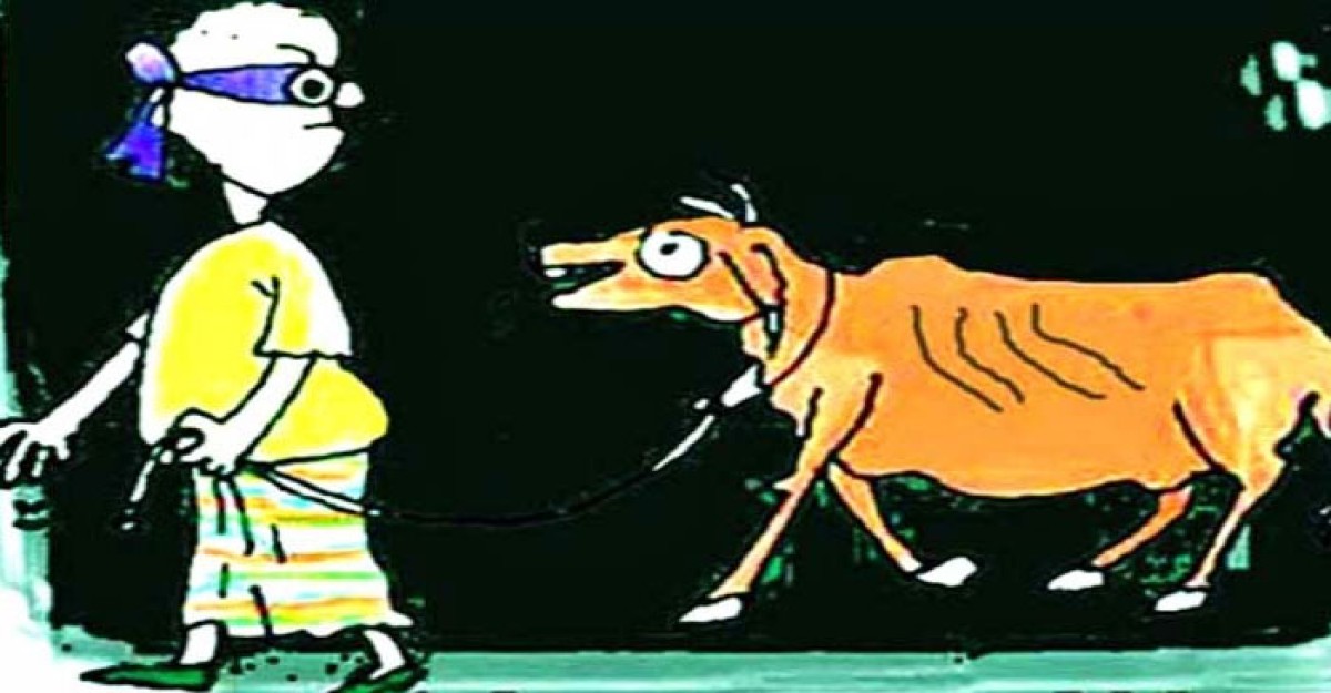 গজারিয়ায় গরু চুরি আতঙ্কে এলাকাবাসি