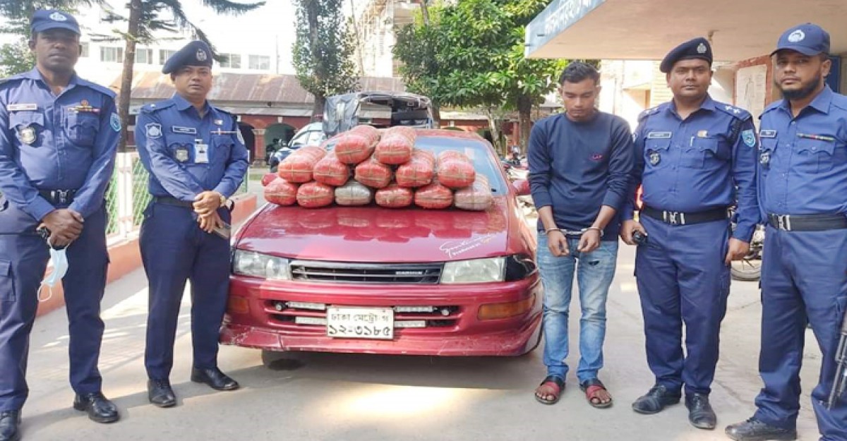প্রাইভেটকারে ৫২ কেজি গাঁজাসহ,গ্রেফতার এক