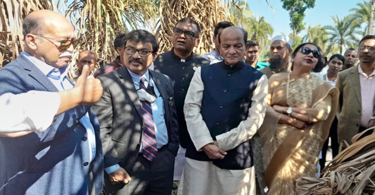 নাটোরে নর্থ বেঙ্গল সুগার মিলে আখ মাড়াই কর্মসূচি উদ্বোধন