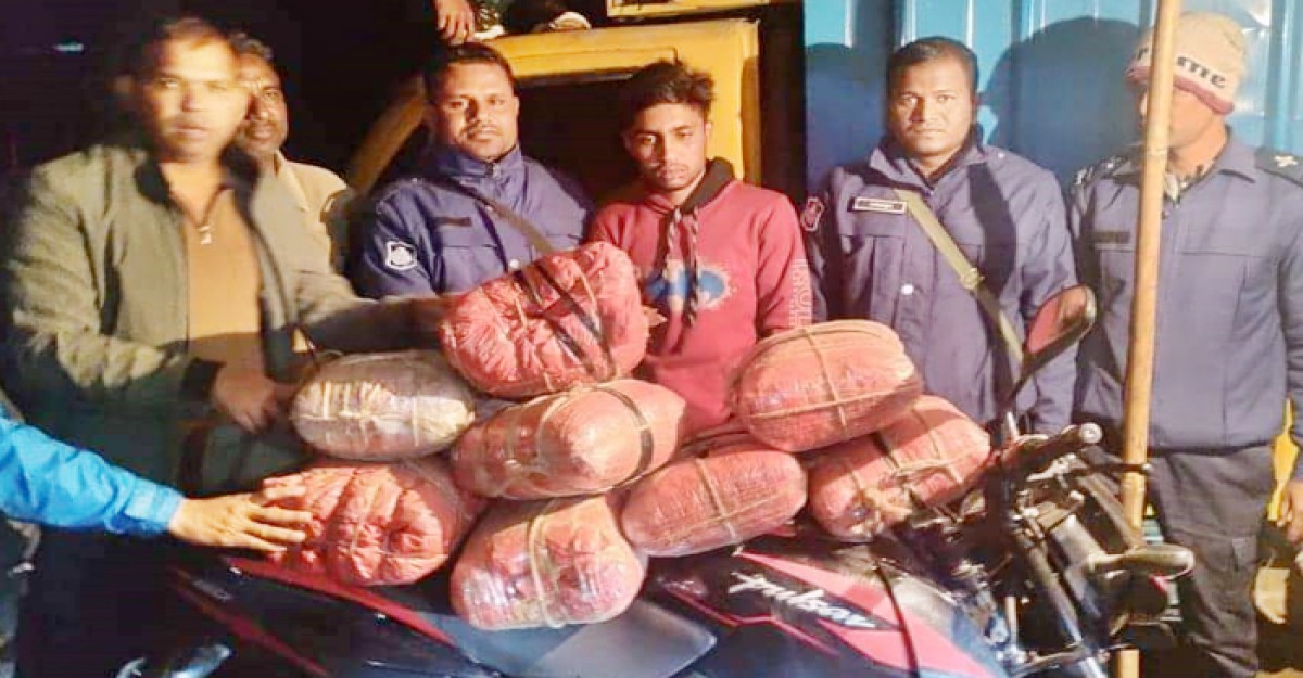 ফুলবাড়ীতে ৩৩ কেজি গাঁজাসহ কুখ্যাত মাদক কারবারী আটক