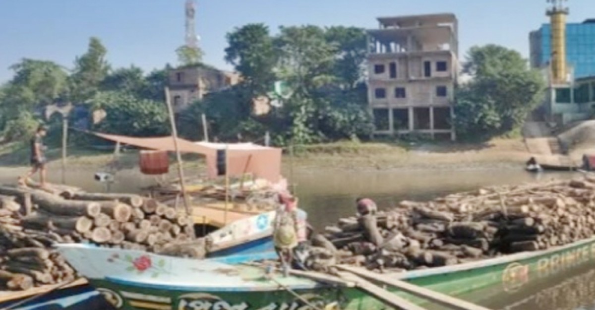নদীপথে অবৈধভাবে আনা কাঠভর্তি ৩৫ ট্রলার জব্দ