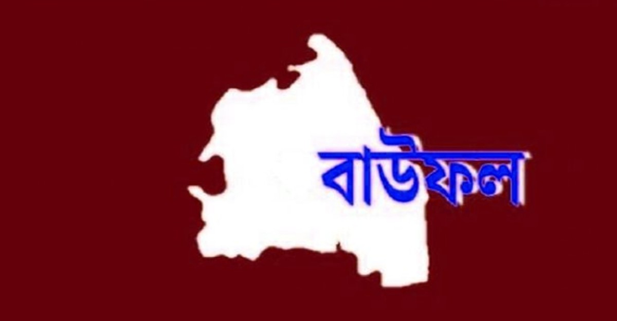 মুক্তিযোদ্ধা বাবা-ছেলেকে কুপিয়ে জখম