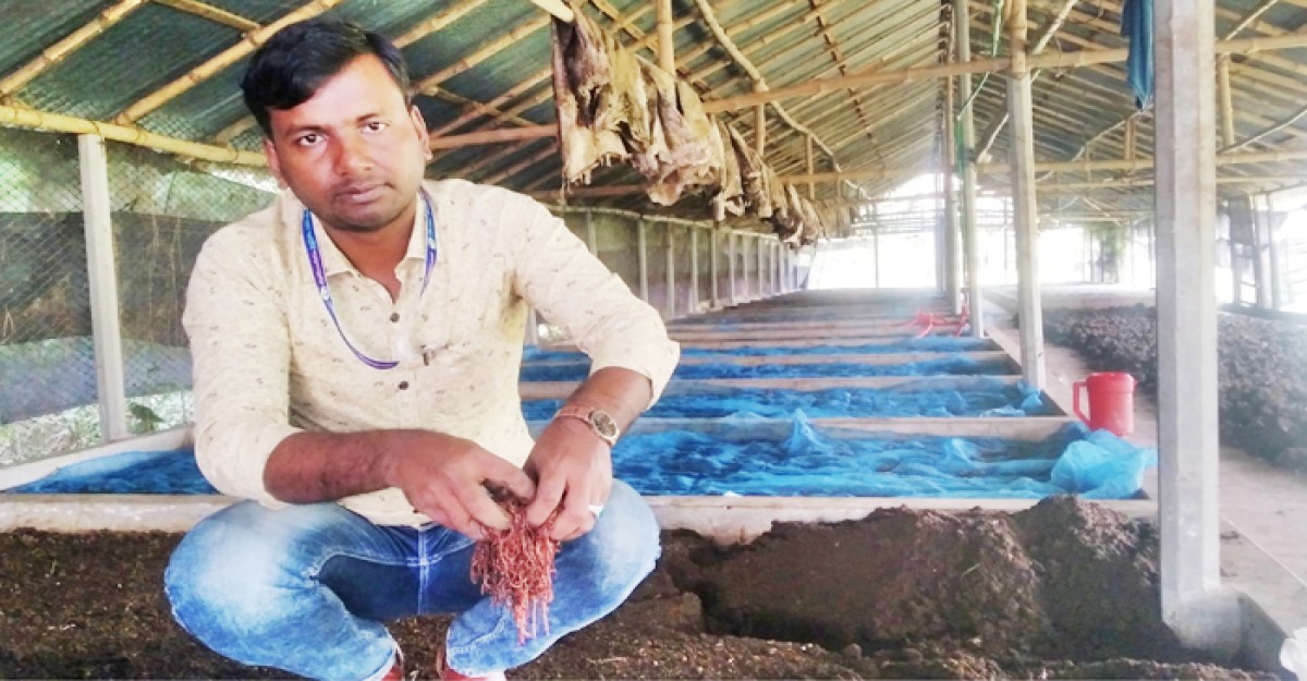 কেঁচো বিক্রি করেই লাখপতি