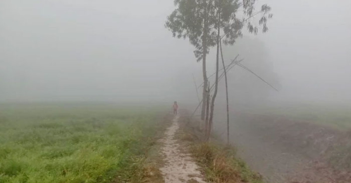 চুয়াডাঙ্গায় শীতের দাপটে কাবু জনজীবন