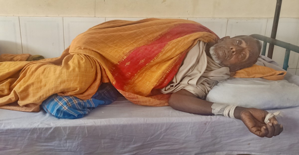 গাছ রক্ষা করতে গিয়ে দায়ের কোপে হাসপাতালে বৃদ্ধ দম্পতি