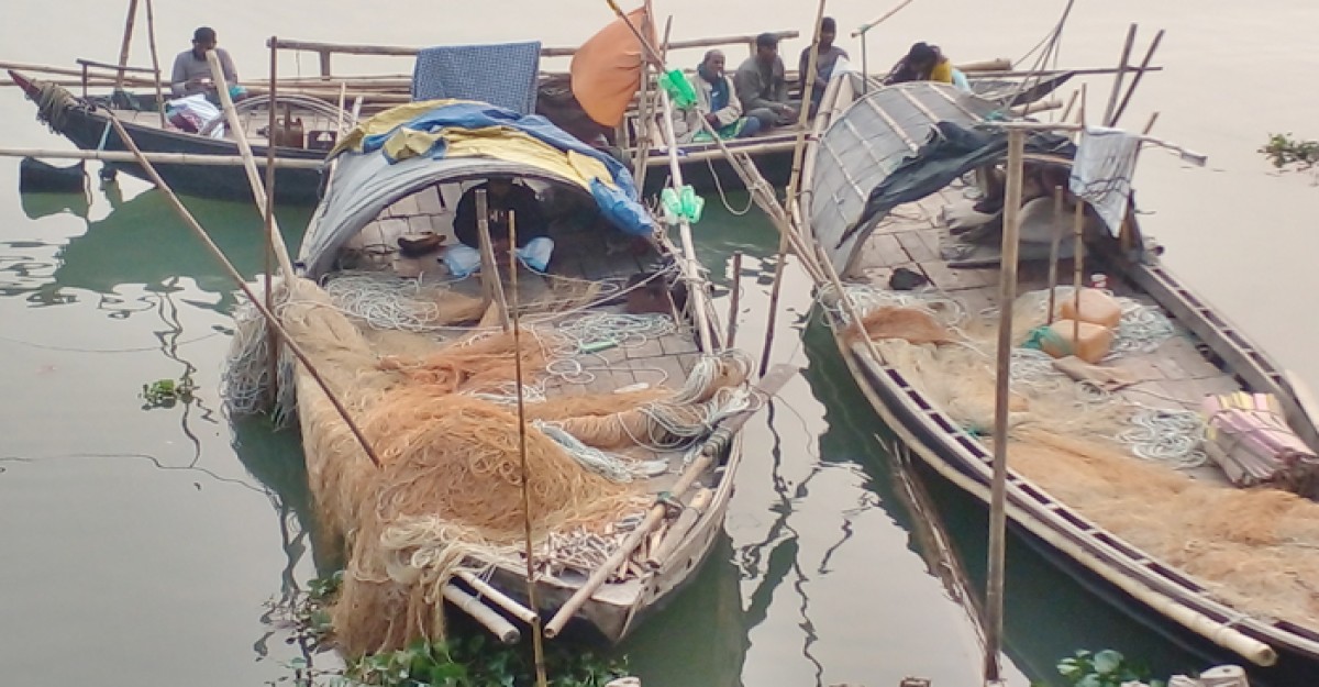 পদ্মায় মাছ শিকার করে জীবন নির্বাহ