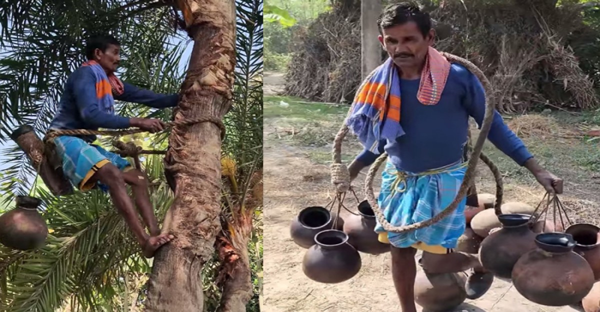 শ্রীপুরে খেজুরের রস সংগ্রহে ব্যস্ত গাছিরা