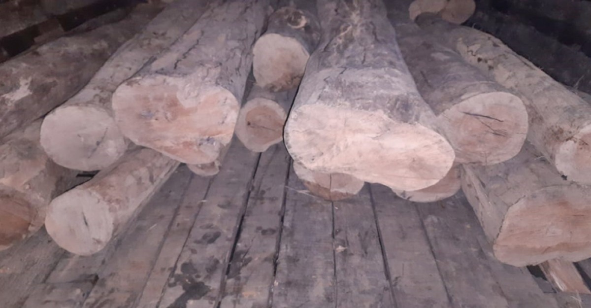 নানিয়ারচরের বুড়িঘাটে পাচারকালে গোল কাঠ আটক