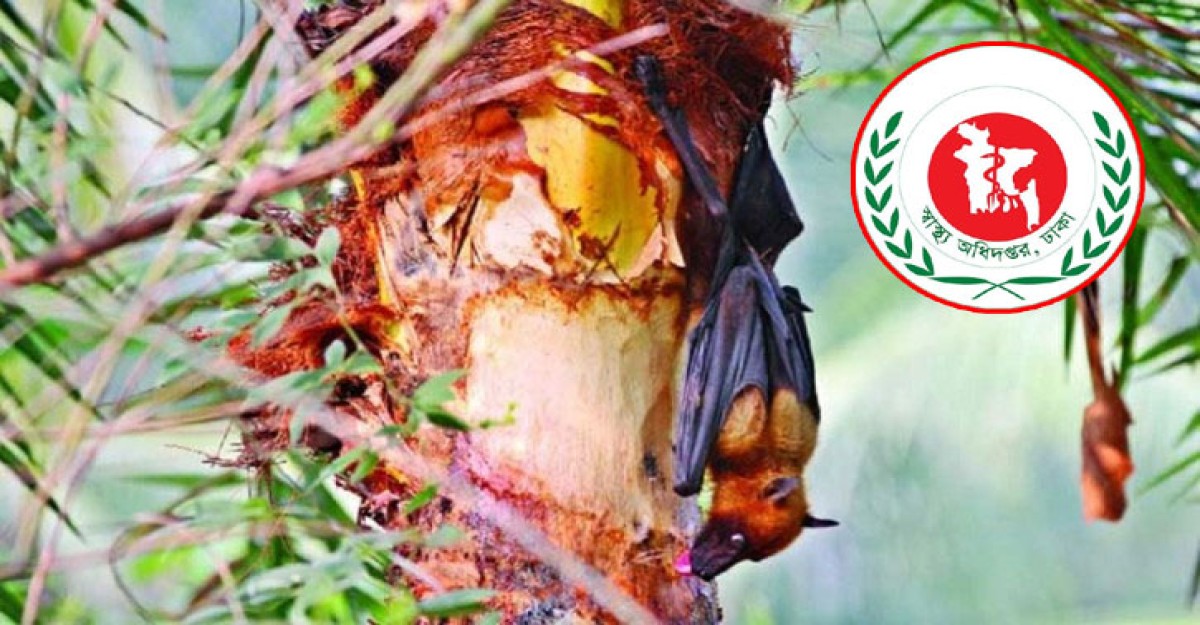 দেশের ৩২ জেলায় নিপাহ ভাইরাস শনাক্ত