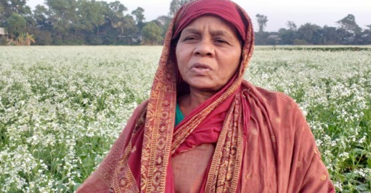 মুন্সীগঞ্জে ১০ একর জমিতে মূলাবীজ উৎপাদন করে সাবলম্বী আনোয়ারা