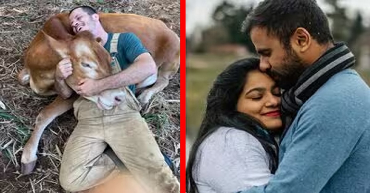 ভালোবাসা দিবসে গরুকে জড়িয়ে ধরতে নোটিশ জারি