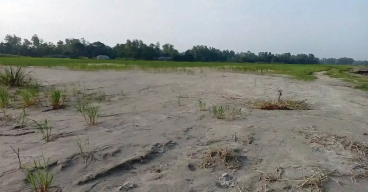 বেড়ার চরাঞ্চলে ২ হাজার বিঘা জমি অনাবাদি থাকার শষ্কায় কৃষক