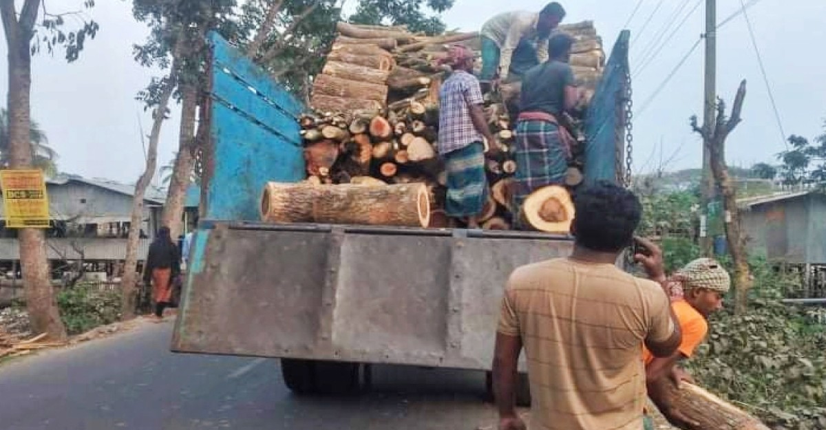 সড়ক দখল করে জমজমাট বাণিজ্য