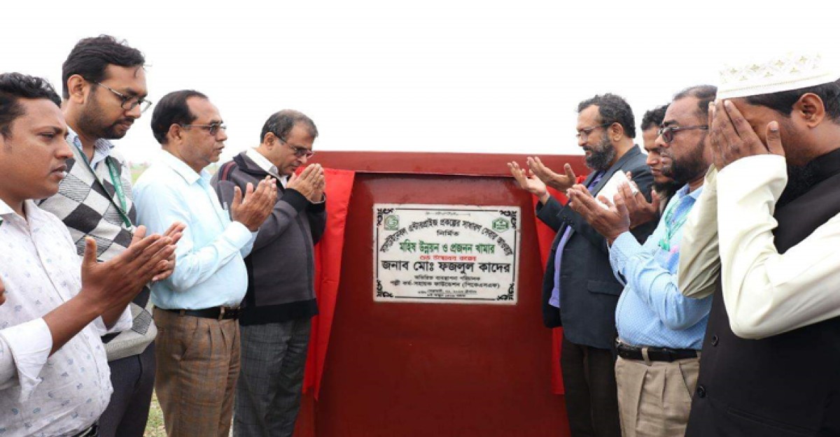 ভোলার প্রাণিসম্পদের বিভিন্ন উন্নয়নমুলক কাজের উদ্ধোধন