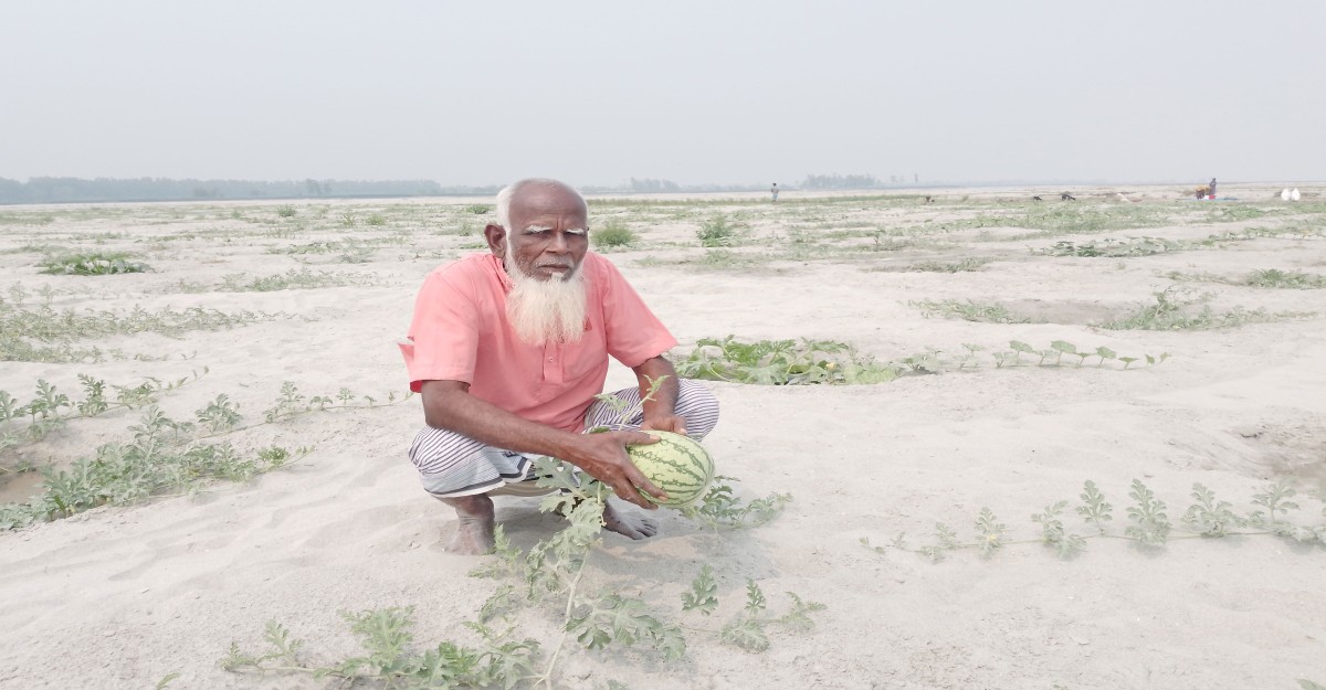 তিস্তার ধূ-ধূ বালু চরে তরমুজ চাষ