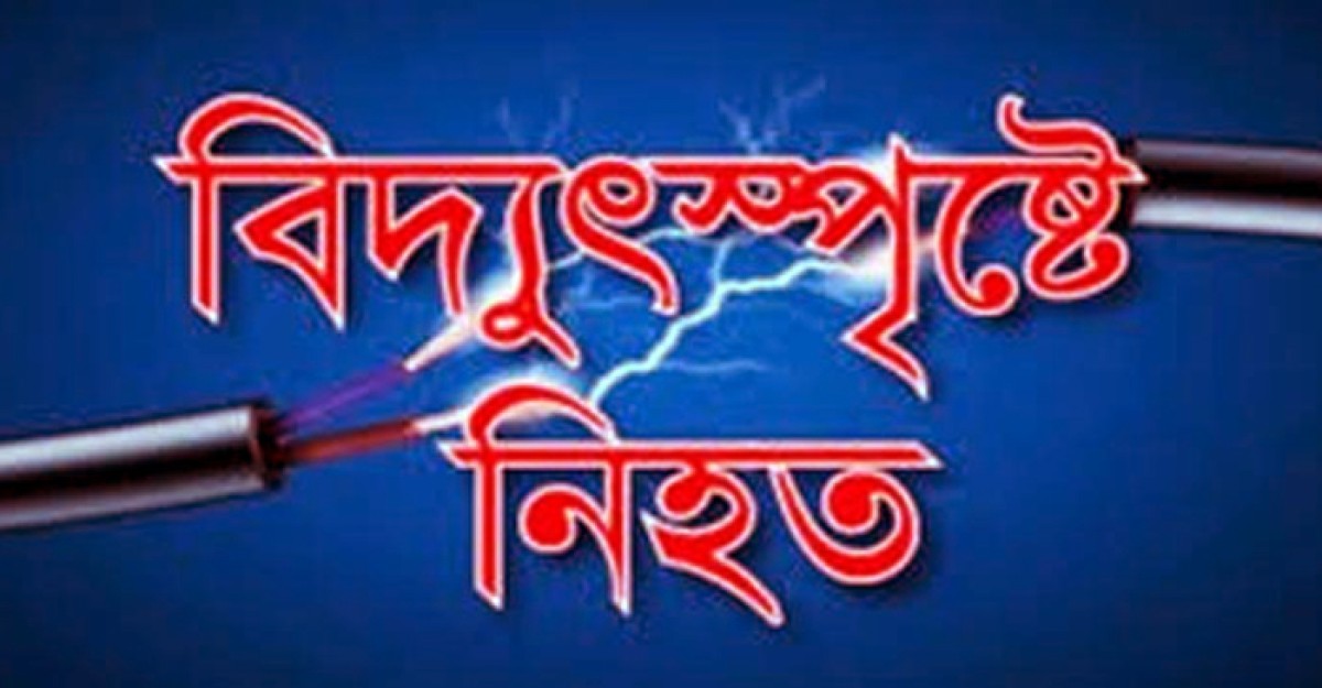 হাটহাজারীতে বিদ্যুৎস্পৃষ্ট প্রাণ গেল এক জনের
