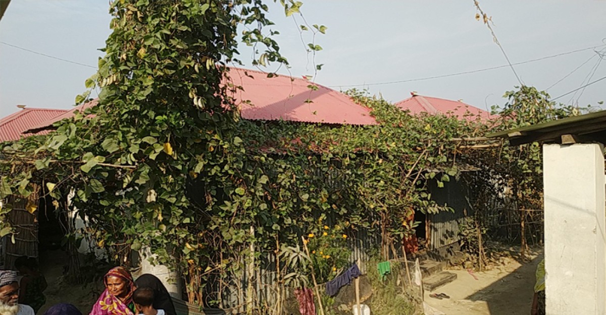 শাক-সবজি আর ফলফুলে সোনালী হাঁসি যেন ভেদরগঞ্জের আশ্রয়ণে