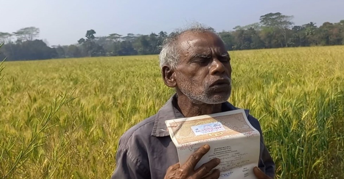 কৃষকের জমির শস্য জোর করে কেটে নেওয়ার অভিযোগ