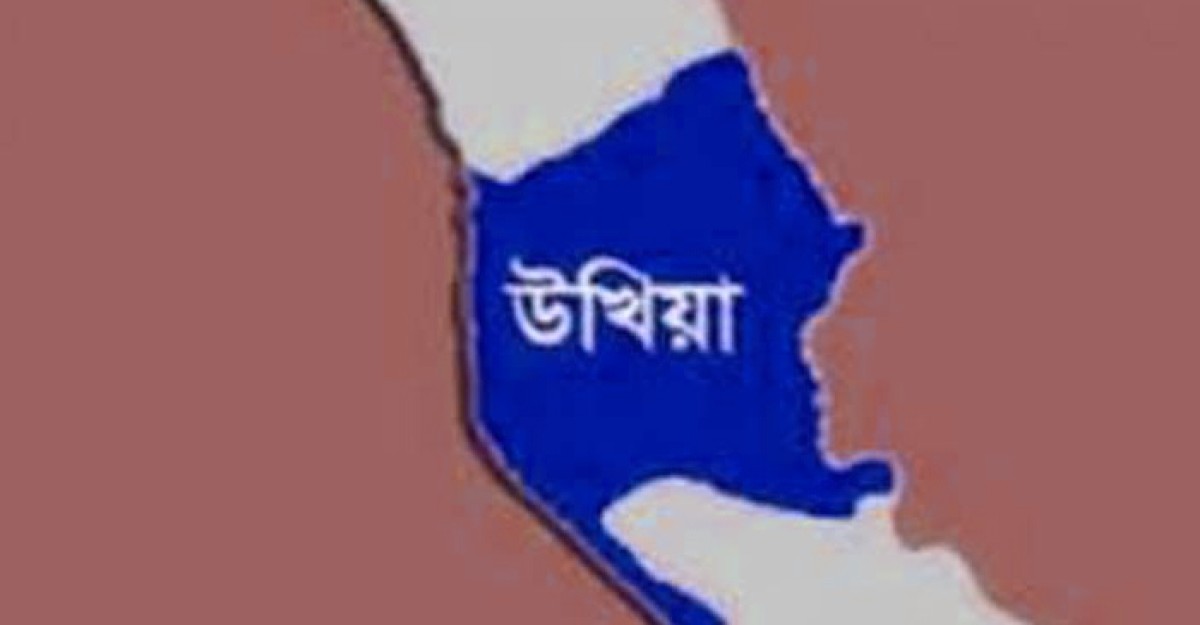 মাংস কাটতে গিয়ে বুকে ছুরিবিদ্ধ রোহিঙ্গা শিশুর মৃত্যু, আটক ১