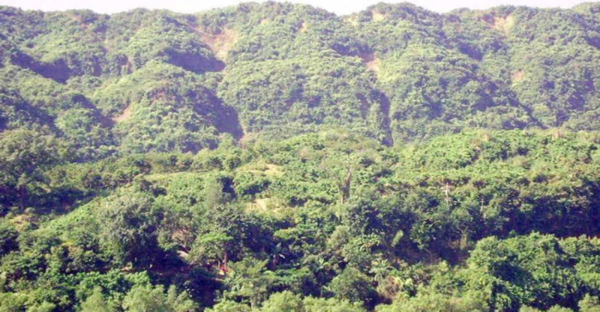 টেকনাফে আবারও কৃষক অপহরণ
