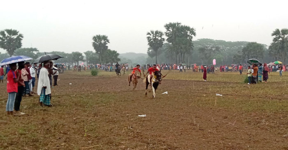 মহম্মদপুরে ঘৌড়দৌড় দেখতে হাজারো মানুষের ঢল