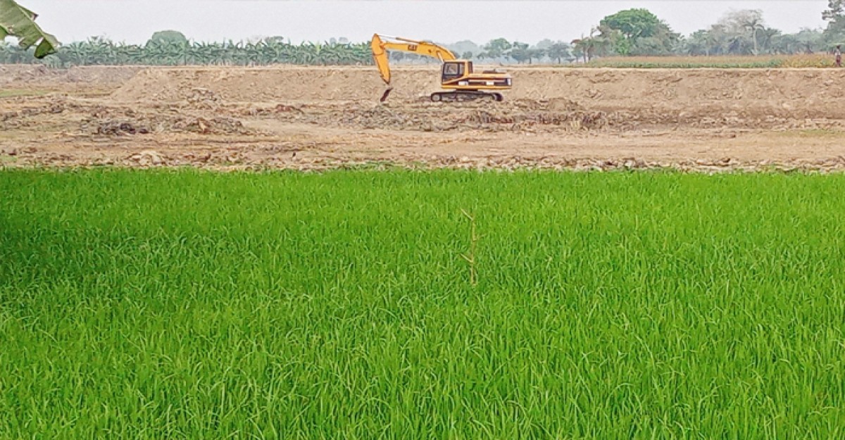 চুয়াডাঙ্গায় ফসলি জমিতে পুকুর খননের হিড়িক