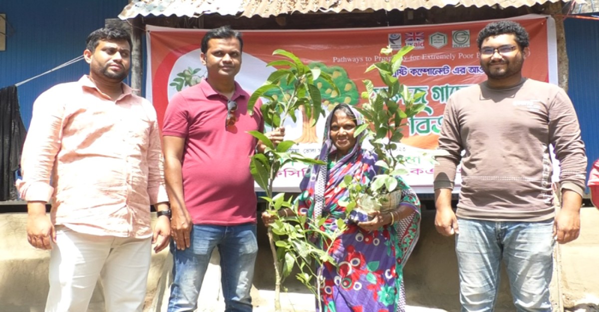 ভোলায় বিনামূল্যে ফলজ গাছের চারা পেল অতিদরিদ্ররা