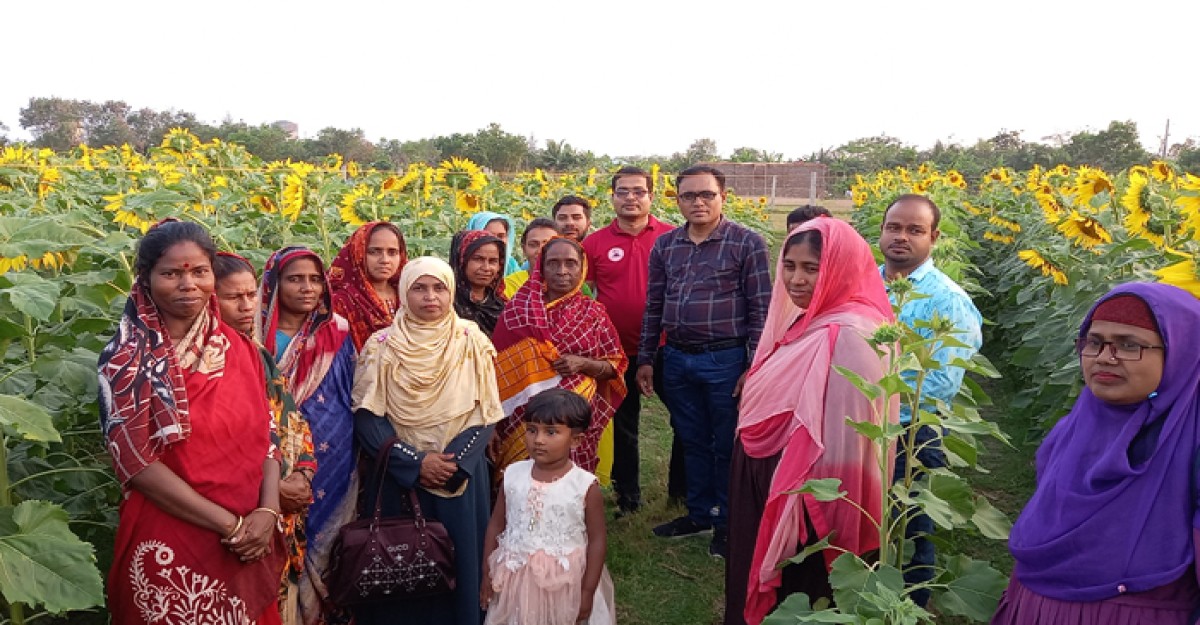মোংলায় সুর্যমুখী চাষ অসহায় পরিবারের মুখে হাসি