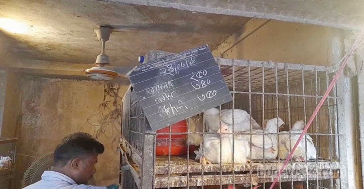 মুরগির দাম কেজিতে কমল ৪০ টাকা