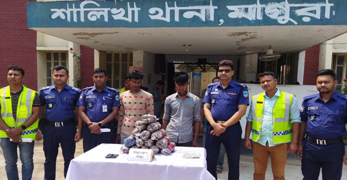 শালিখায় ৭ কেজি গাঁজাসহ ২ মাদক ব্যবসায়ী গ্রেফতার