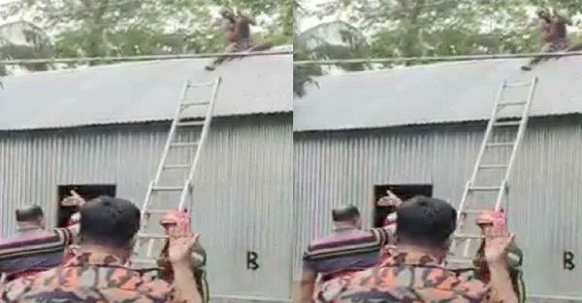 পুলিশের ধাওয়ায় চোর উঠলো টিনের চালে, নামালো ফায়ার সার্ভিস