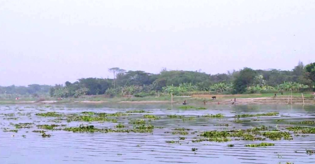 ভাঙ্গায় অর্ধ গলিত অজ্ঞাত ব্যক্তির লাশ উদ্ধার