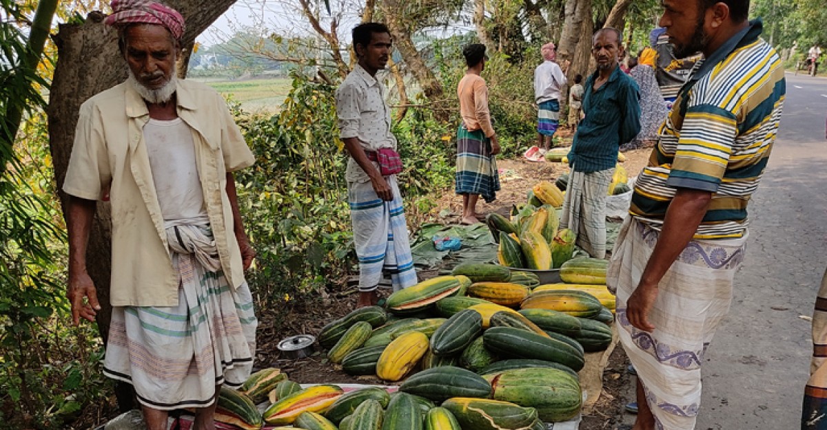 ভাঙ্গায় বৃষ্টিতে বাঙ্গি চাষীদের ব্যাপক ক্ষতি