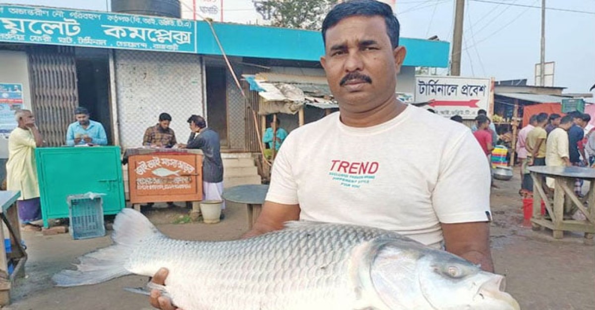 এক কাতল বিক্রি হলো ২৯ হাজারে
