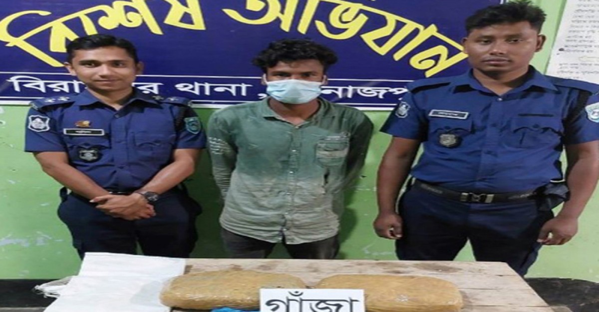 বিরামপুরে দুই কেজি গাঁজাসহ আটক: ১