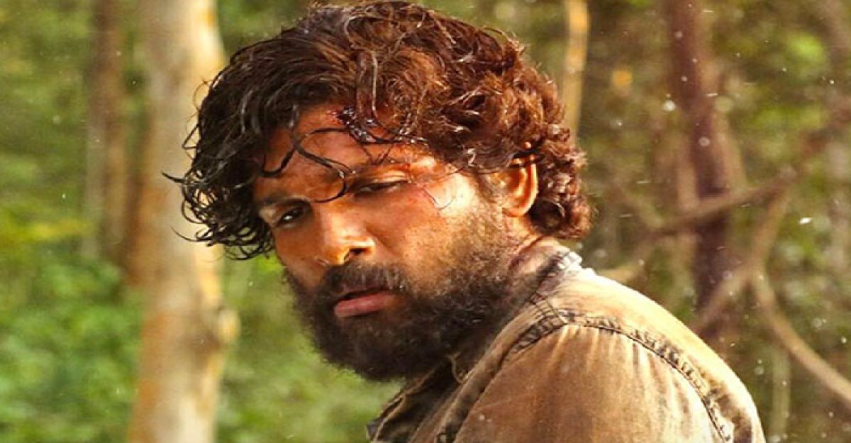 আল্লুর জন্মদিনে ‘পুষ্পা টু’র টিজার