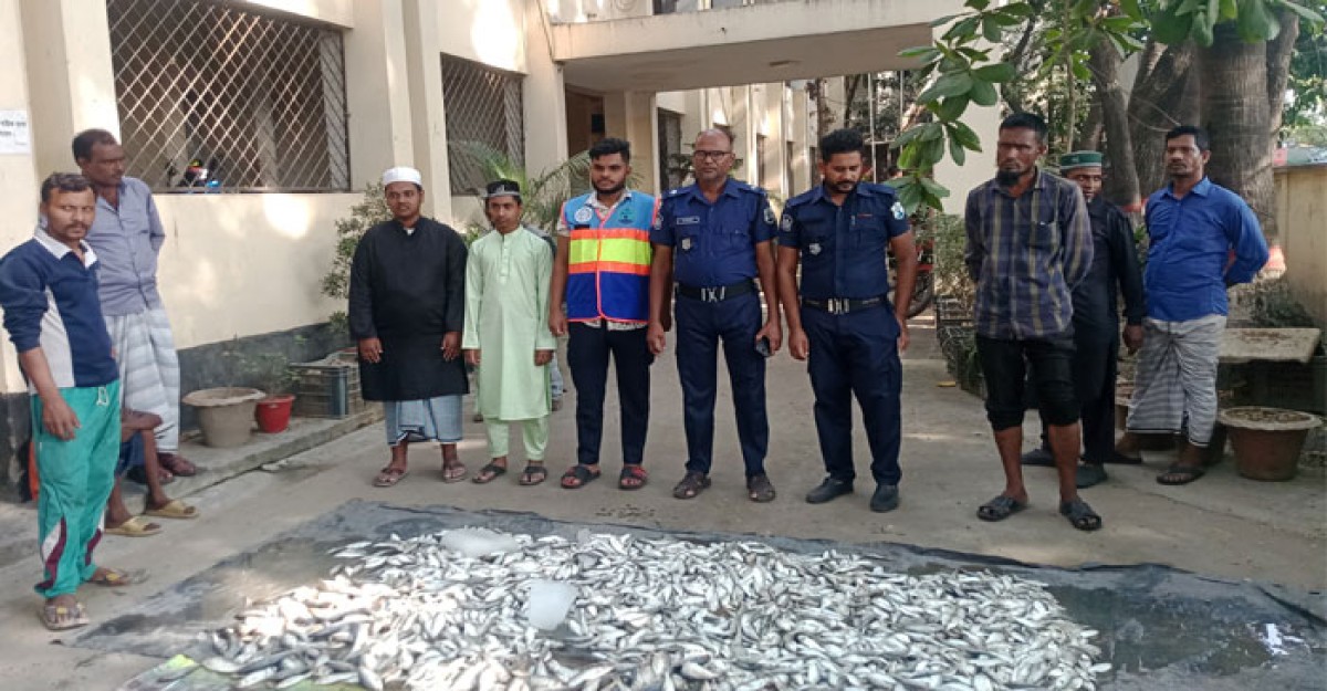 নারায়ণগঞ্জে ৪০০ কেজি জাটকা জব্দ